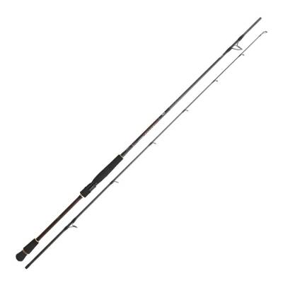 Daiwa infeet Seabass 251cm 10-35gr Spin Kamış