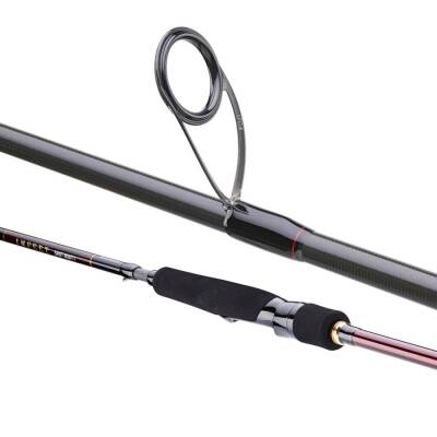 Daiwa infeet Seabass 274cm 14-42gr Spin Kamış - 4